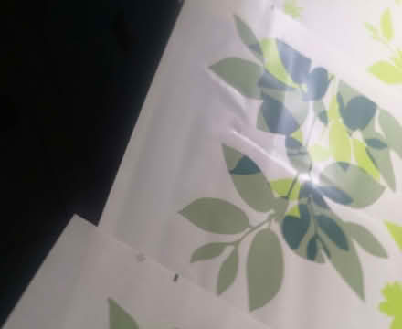 Photo of free Wall stickers (Heathgates SY1) #2