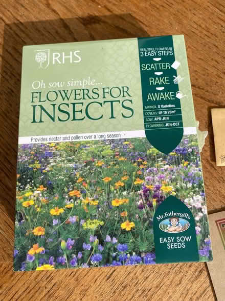 Photo of free Wildflower seeds (Thames Ditton KT7) #1