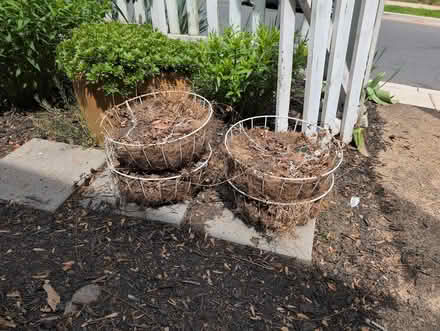 Photo of free Metal plant baskets (20910) #1