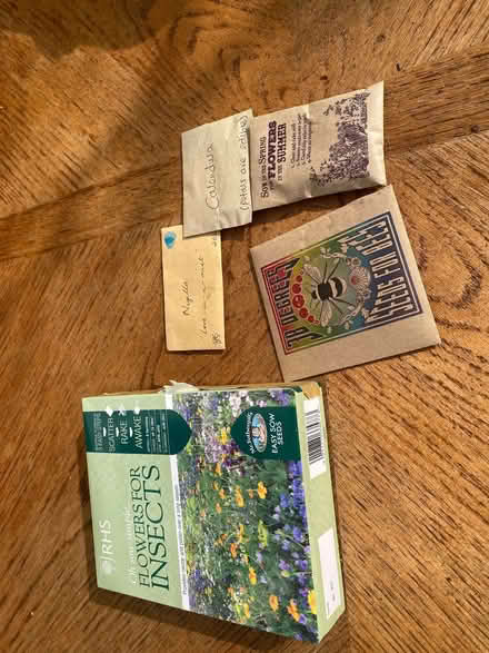 Photo of free Wildflower seeds (Thames Ditton KT7) #3