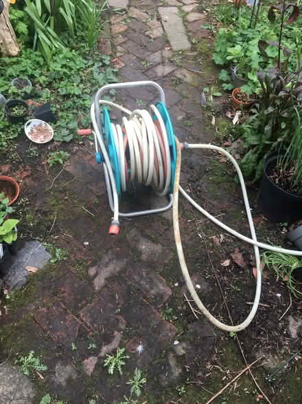 Photo of free Reeled Hosepipe (ME13) #1