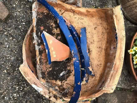 Photo of free Large broken ceramic pot (Sprowston NR7) #1