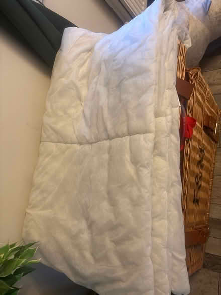 Photo of free Single duvet (Congleton) #1