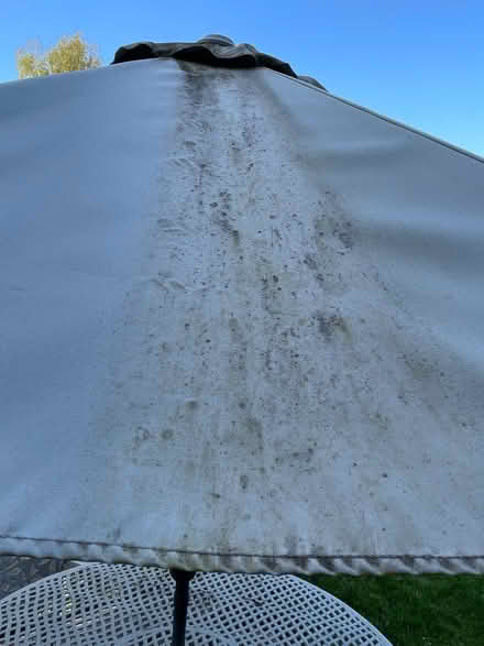 Photo of free Large garden parasol (Wigmore HR6) #1