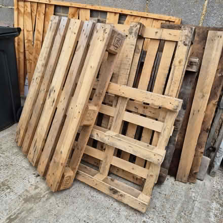 Photo of free Pallets (TN23) #1