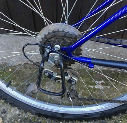 Photo of free Mountain Bicycle (Long Wittenham OX14) #4