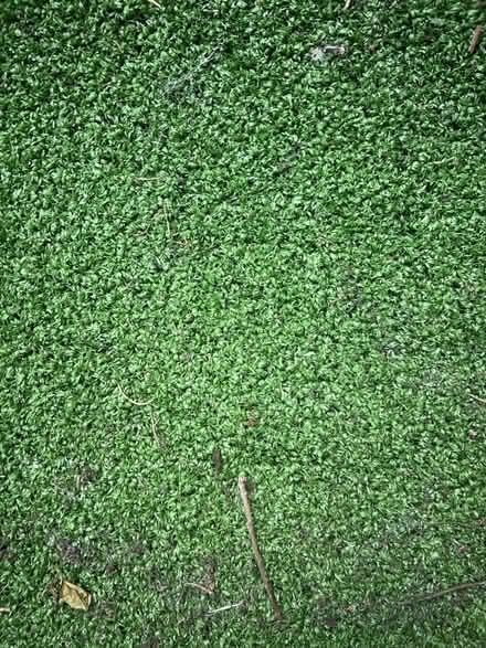 Photo of free Artificial Grass (Bethnal Green E1 5DE) #3