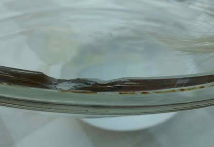Photo of free Glass oven dish (St Buryan TR19) #1