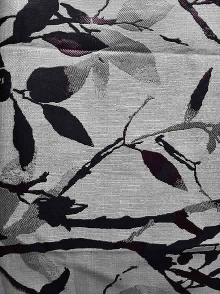 Photo of free Lined Curtains, Ring Top, VGC (Ashbourne DE6) #1