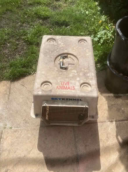 Photo of free skykennel (SW16) #2