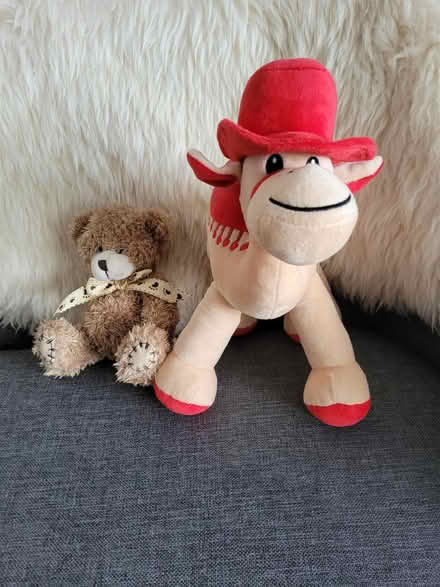Photo of free Soft toys (Harlington, LU5) #1