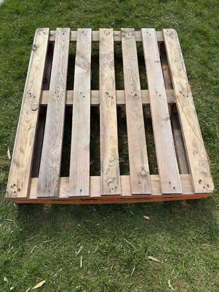 Photo of free Pallet (Welling DA16) #1