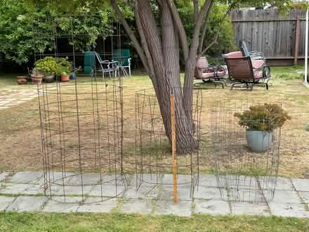 Photo of free Large metal plant cages (Mary and Homestead, Sunnyvale) #1