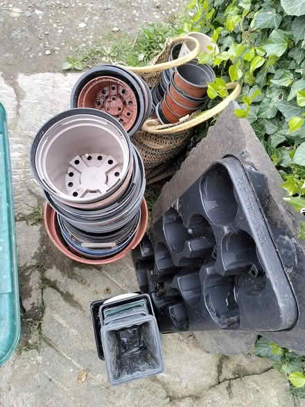 Photo of free Pots (Bishop's Castle) #1