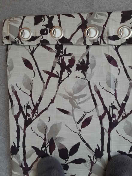 Photo of free Lined Curtains, Ring Top, VGC (Ashbourne DE6) #3