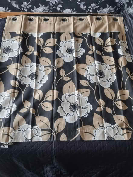 Photo of free Eyelet Curtains 66x54"drop (Hatfield Peverel CM3) #1