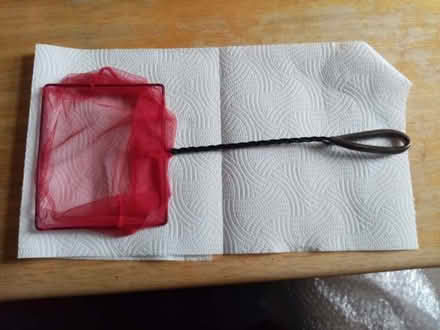 Photo of free Fish Net For Aquarium (Grays RM17) #1