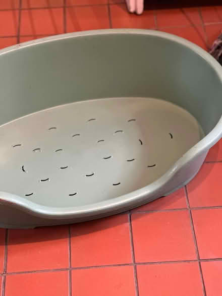 Photo of free Dog Bed (Warwick CV34) #1