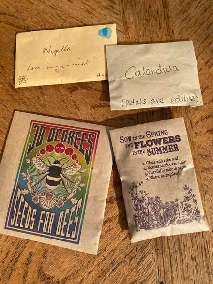 Photo of free Wildflower seeds (Thames Ditton KT7) #2