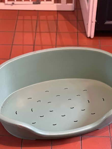 Photo of free Dog Bed (Warwick CV34) #3