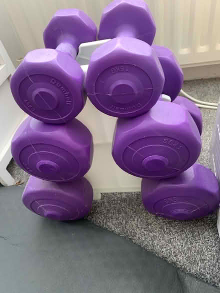 Photo of free small weights set for training (CT15) #1