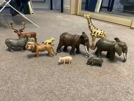 Photo of free plastic animals (Kenilworth) #2