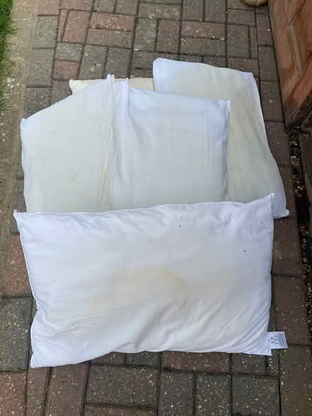 Photo of free 5 pillows for pet bedding (Southbourne, PO10) #1
