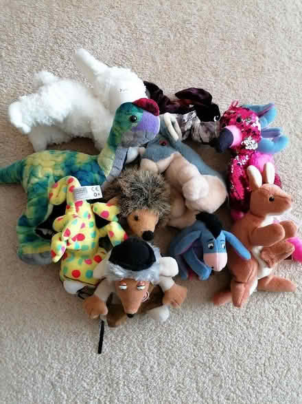 Photo of free Assorted soft toys (Langney BN23) #1