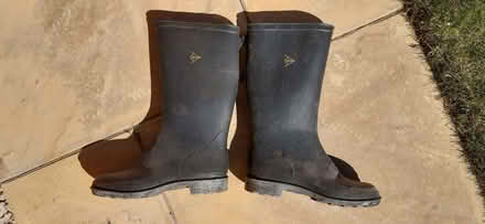 Photo of free Wellingtons (size 6) (Dunston S41) #1