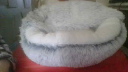 Photo of free cat Igloo and small dog bed (BA2) #2