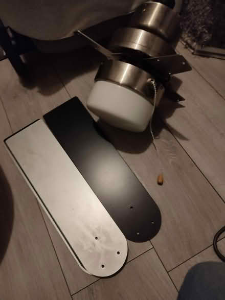 Photo of free Ceiling fan (Camberley) #1