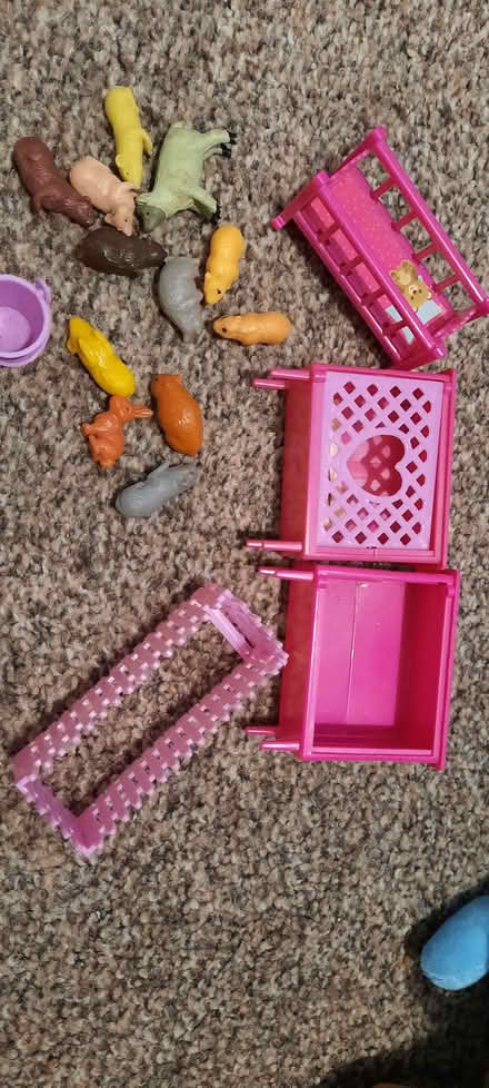 Photo of free Mini guinea pig figures and furniture (Knighton LD7) #1