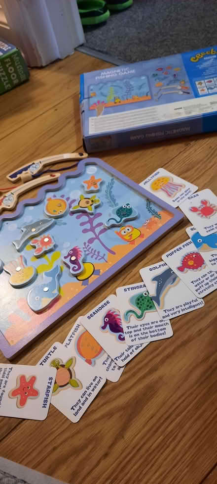 Photo of free Magnetic fishing game (Knighton LD7) #1