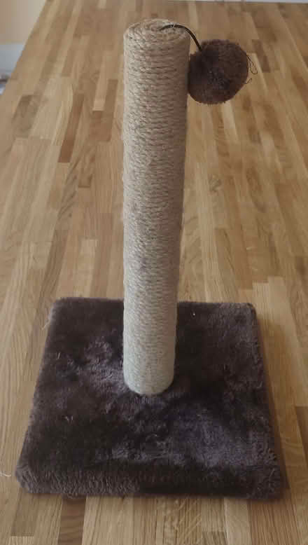 Photo of free Cat Scratching Post (Pickford Green CV5) #1