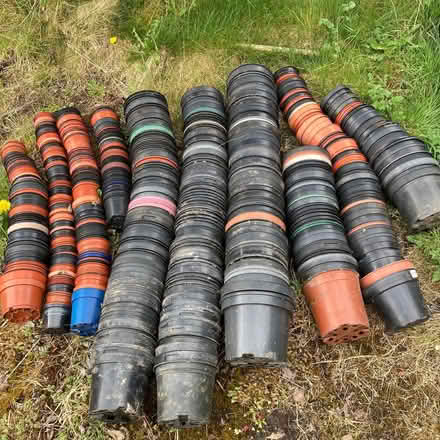 Photo of free Plastic plant pots (Norton LD8) #1