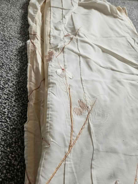 Photo of free Curtains (Handsworth) #2