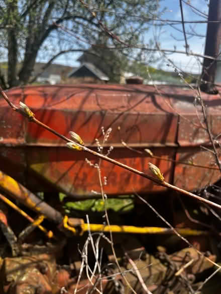 Photo of free Massey Harris Tractor. Doesnβt run (Coopersburg) #3