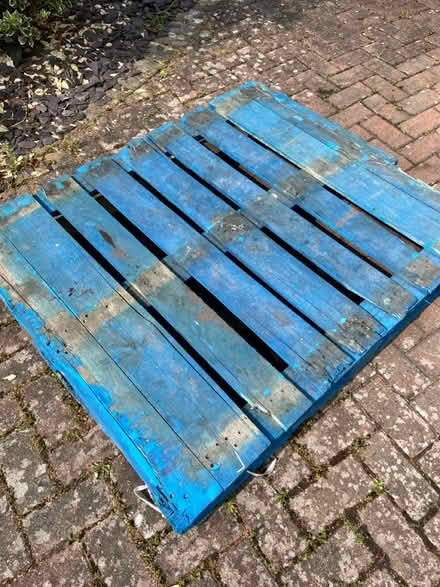 Photo of free Blue pallet (Bromley Common, BR2) #1