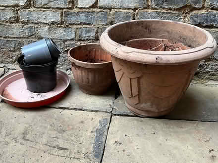 Photo of free Plant pots (Bayswater W2) #1