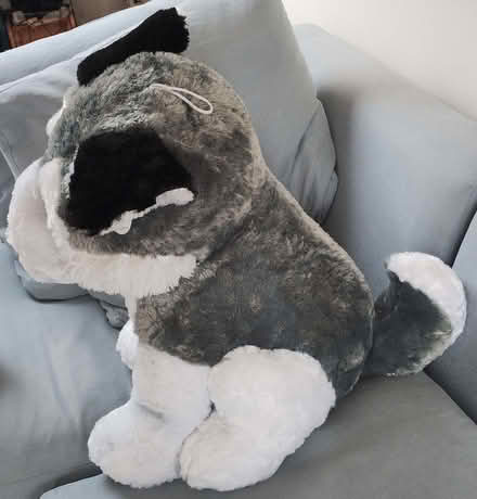 Photo of free Large soft toy (Ruskin Park SE5) #3