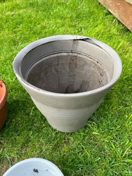 Photo of free Plant pots (Ware SG12) #2