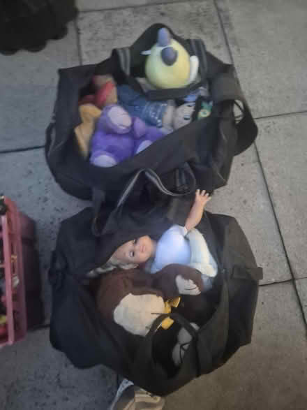 Photo of free Bags of teddies (SE5) #1
