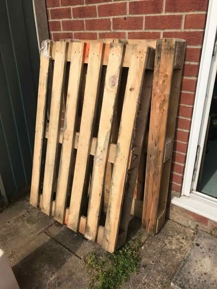 Photo of free Wooden pallets (CO11) #1