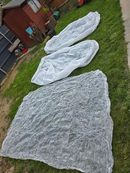 Photo of free Garden fleece? (Panshanger AL7) #1