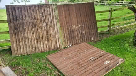 Photo of free 3 x fence panels (Cv23 8eg) #1