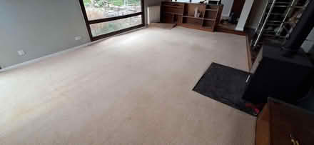 Photo of free Light coloured carpet (Kendal LA9) #1