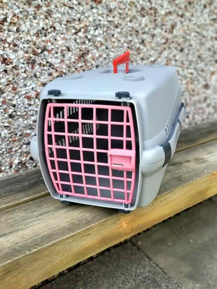 Photo of free Cat, small pet carrier (Stockton-on-Tees TS19) #1