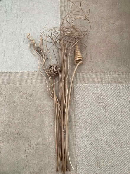 Photo of free Decorative twigs for vase (Whitegrove RG42) #1