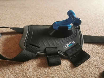 Photo of free Go pro dog harness (OX4 - Iffley / Cowley) #3