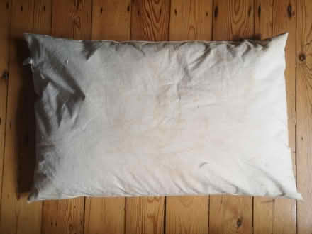 Photo of free Two feather pillows (Streatham SW16) #1